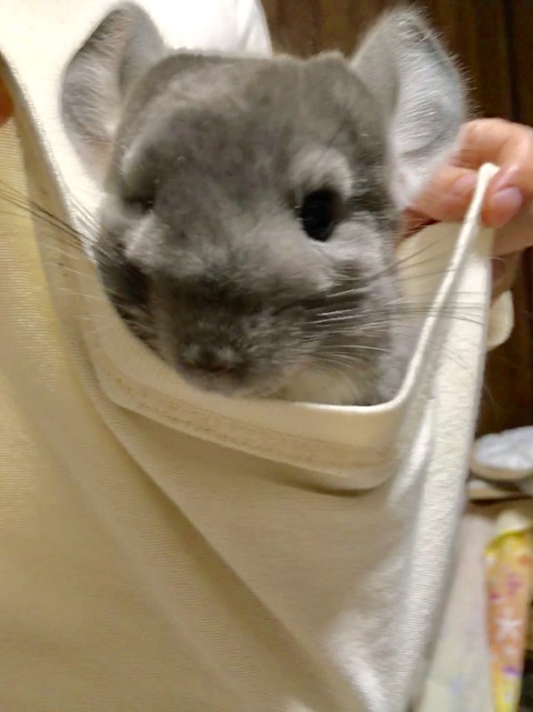 DFA23740-17D3-4A71-B93F-9517F1A14695