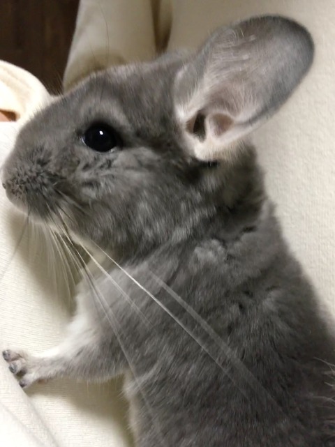 5E76F76A-31BD-4A01-B8B4-097681B9F046