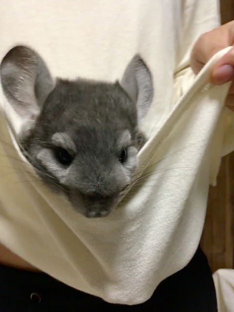 91E84DE0-7724-4C43-BFFB-2FD370CE26D5