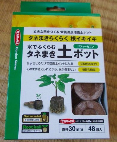 大輪朝顔 種まき開始 こそっと菜園 大輪朝顔 種まき開始 こそっと菜園