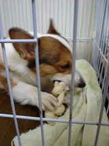 食べて・・・