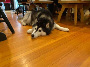 IMG_0343