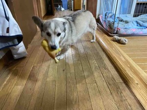 IMG_8708