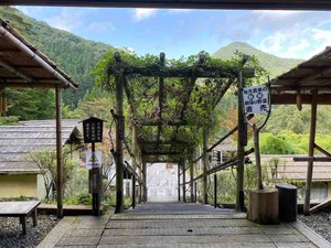 IMG_8789