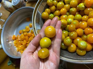 IMG_8358