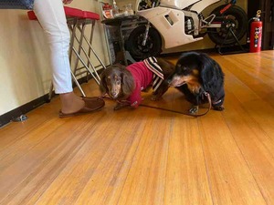 IMG_8366