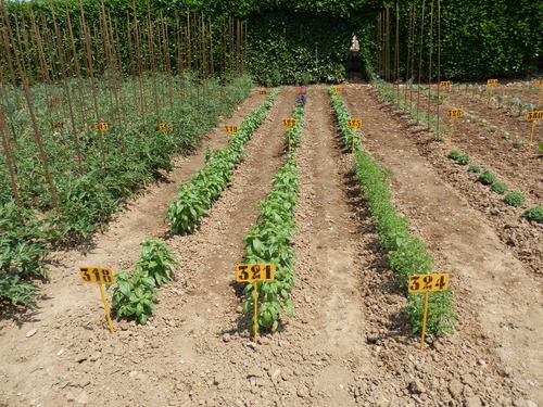 P7020303