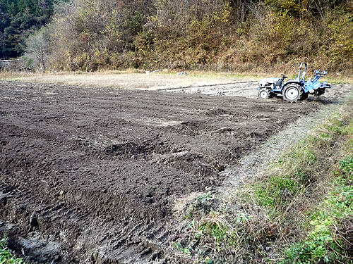 畑の土起こし 愛知の田舎で古民家暮らし