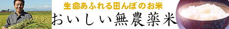 おいしい無農薬米ひとめぼれ100%