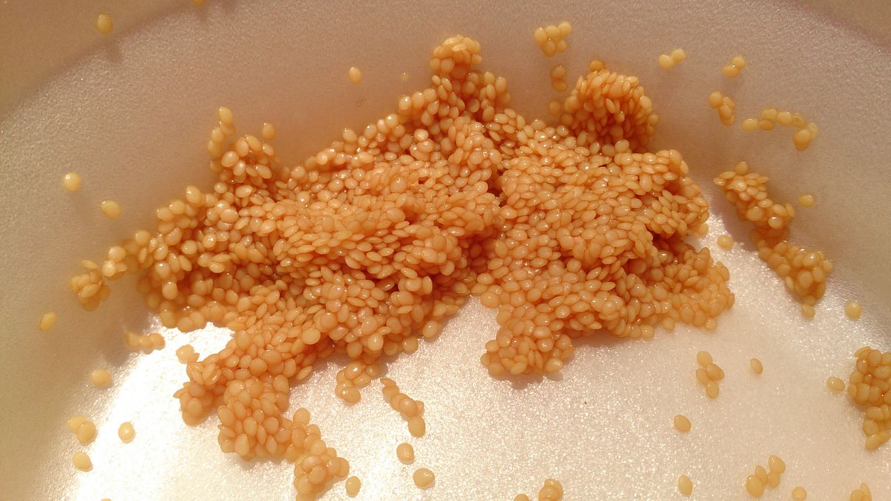 食用ほおずき種取り 今日の畑 ヤマザキ農園