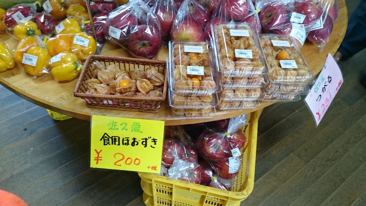食用ほおずき販売開始 今日の畑 ヤマザキ農園 食用ほおずき販売開始 今日の畑 ヤマザキ農園