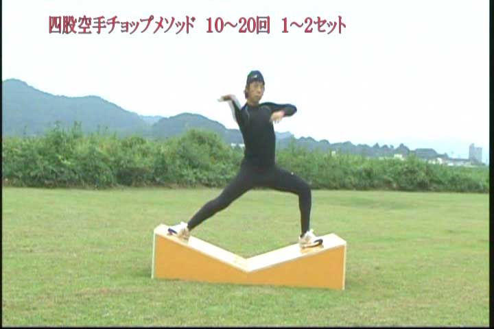 v字台骨盤活性メソッド 四股空手チョップメソッド ナチュラルボディー理論 スポーツの骨 コツ v字台骨盤活性メソッド 四股空手チョップメソッド ナチュラルボディー理論 スポーツの骨 コツ
