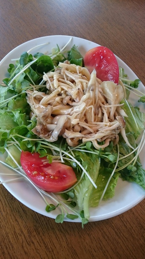 つれづれに書いてみました....梅雨明け