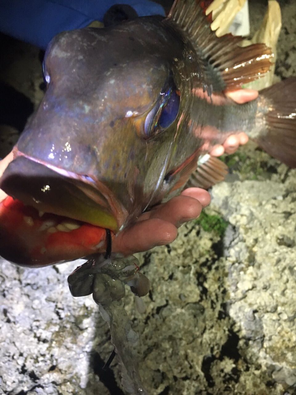 キャンプついでに打ち込み釣り Slow Time Fishing 宮古島 伊良部島