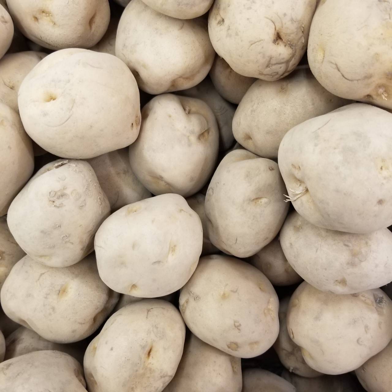 ジャガイモ ヨーロッパの歴史を作ったイモです ナチュラリスト知の迷宮 ジャガイモ ヨーロッパの歴史を作ったイモです ナチュラリスト知の迷宮