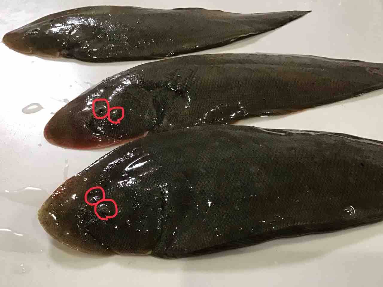 舌平目の唐揚げ 月の厨房 中学生の夢の料理