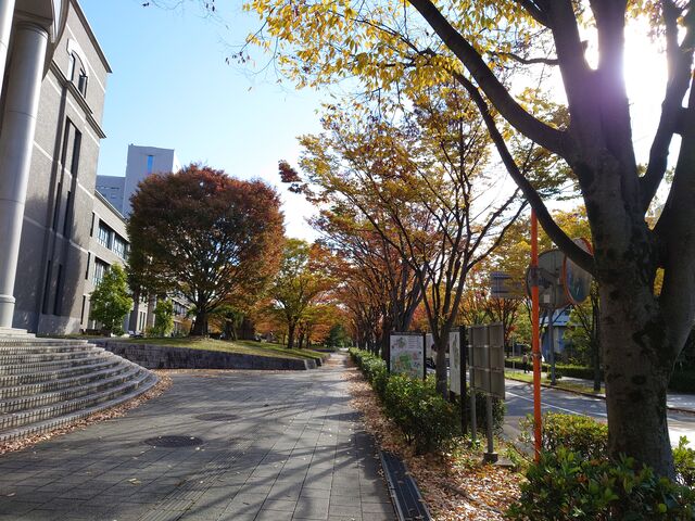 雨上がり Natural 雨上がり Natural