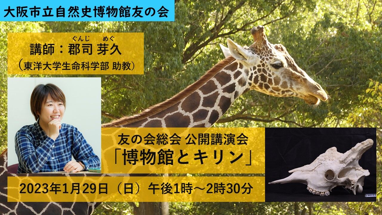大阪市立自然史博物館友の会 Nature Study 大阪市立自然史博物館 友の会 ネイチャースタディー