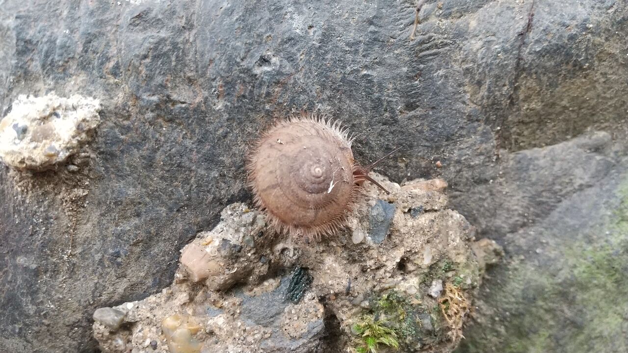 HORIZON_0001_BURST20250518133318882_COVER