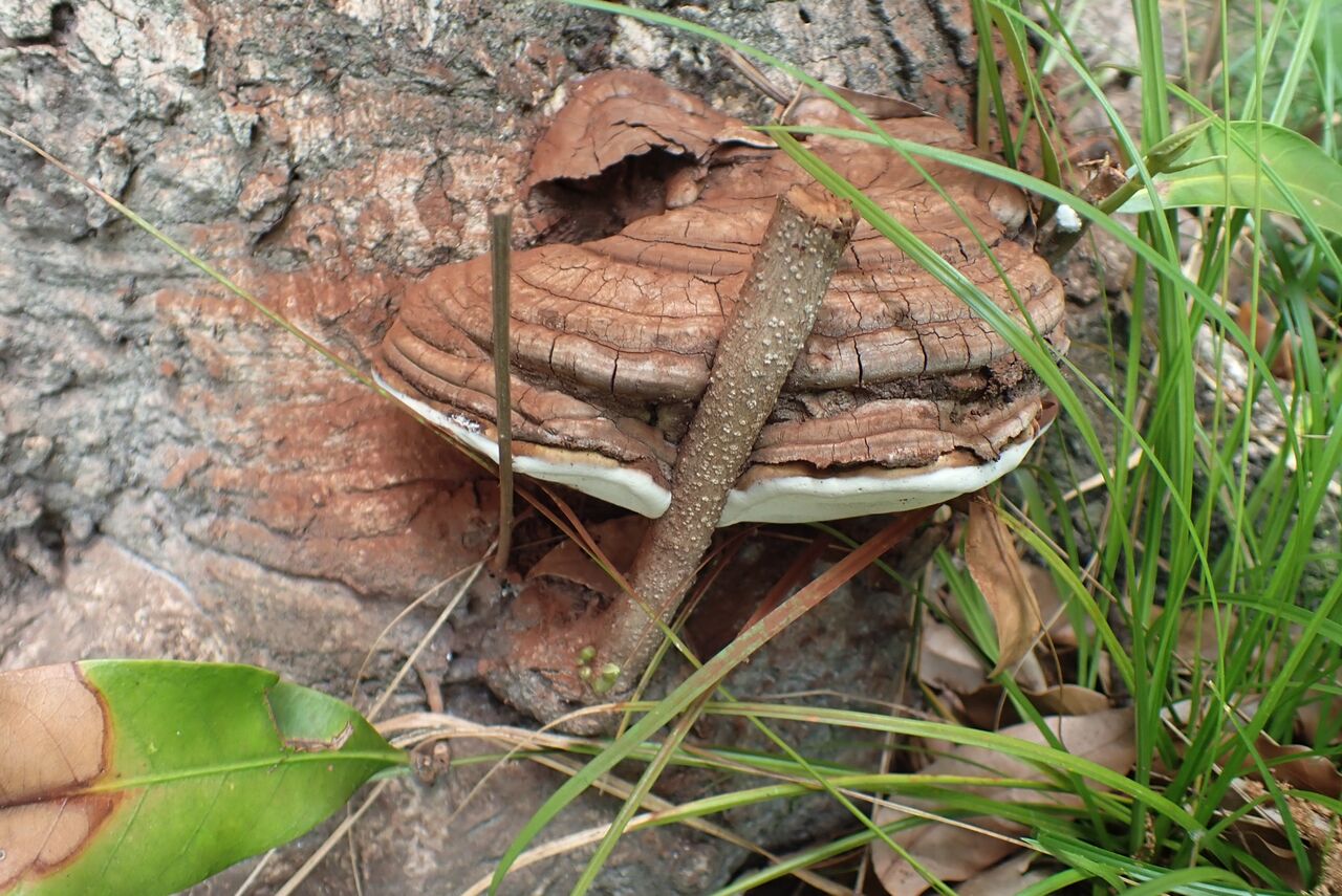 P6180020