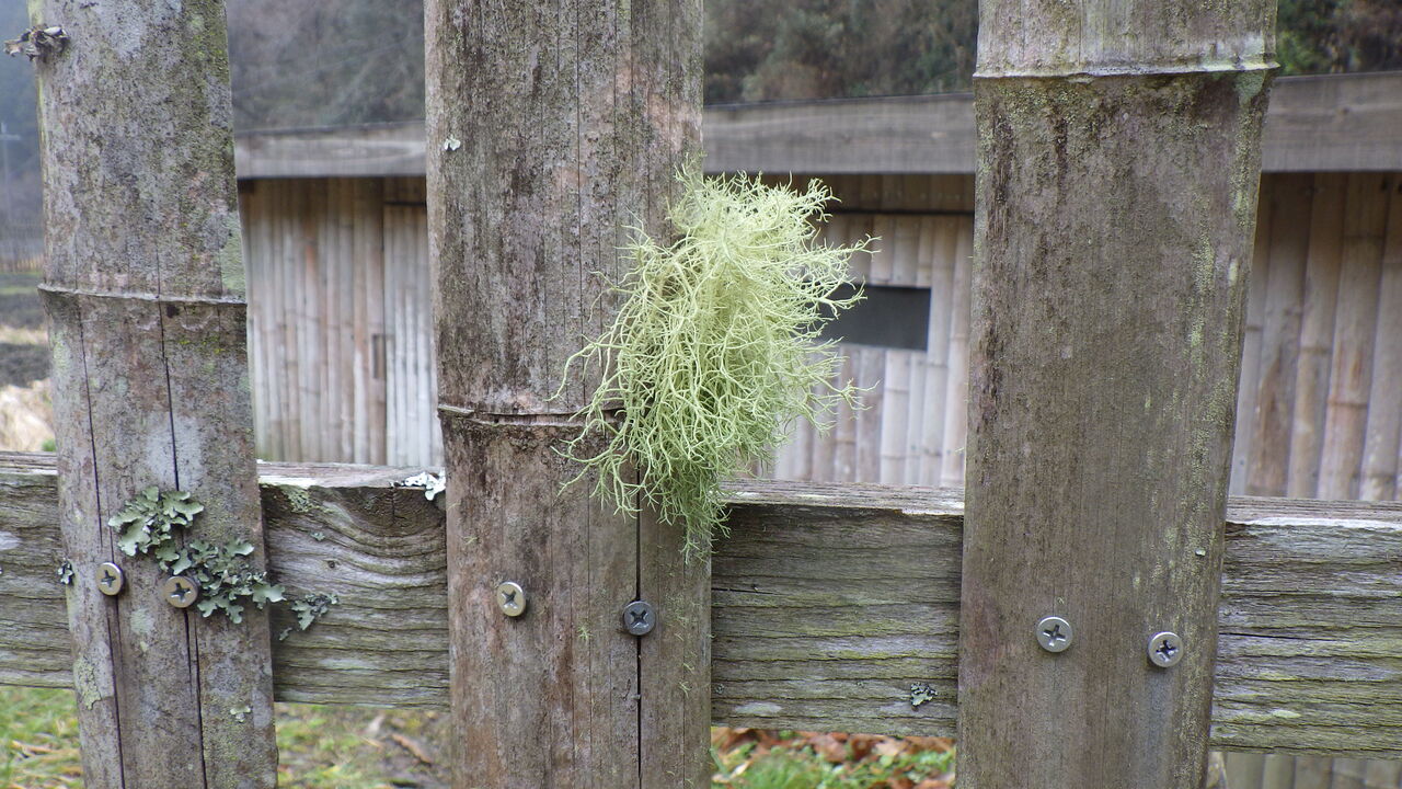 IMGP0258