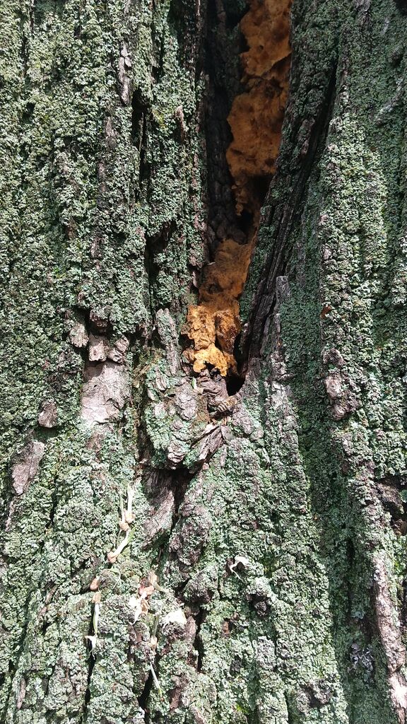 HORIZON_0001_BURST20250518110559651_COVER