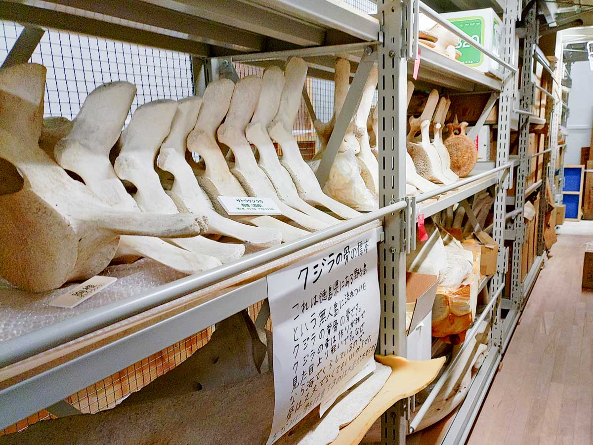 250208_11まるごと博物館08