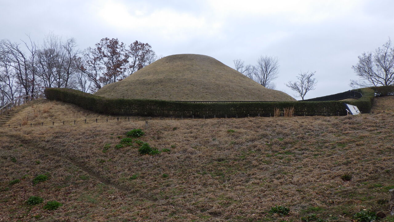 IMGP0247
