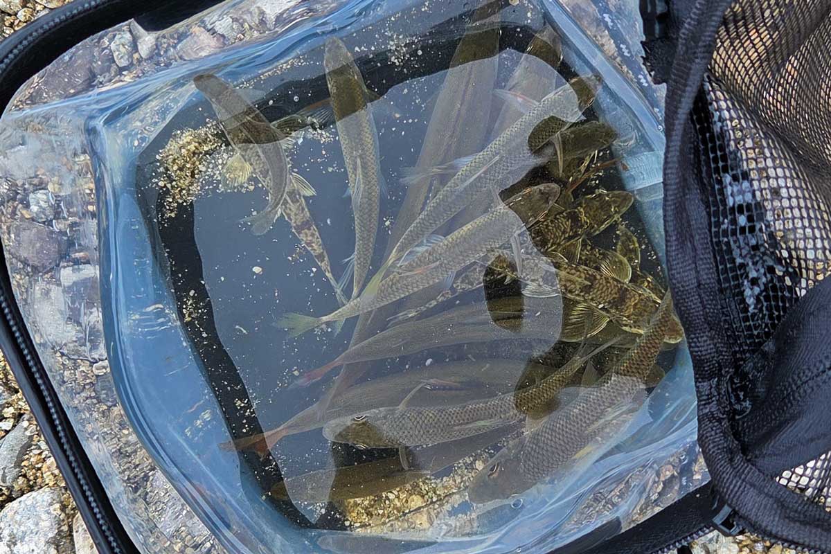 20251012���פ�09