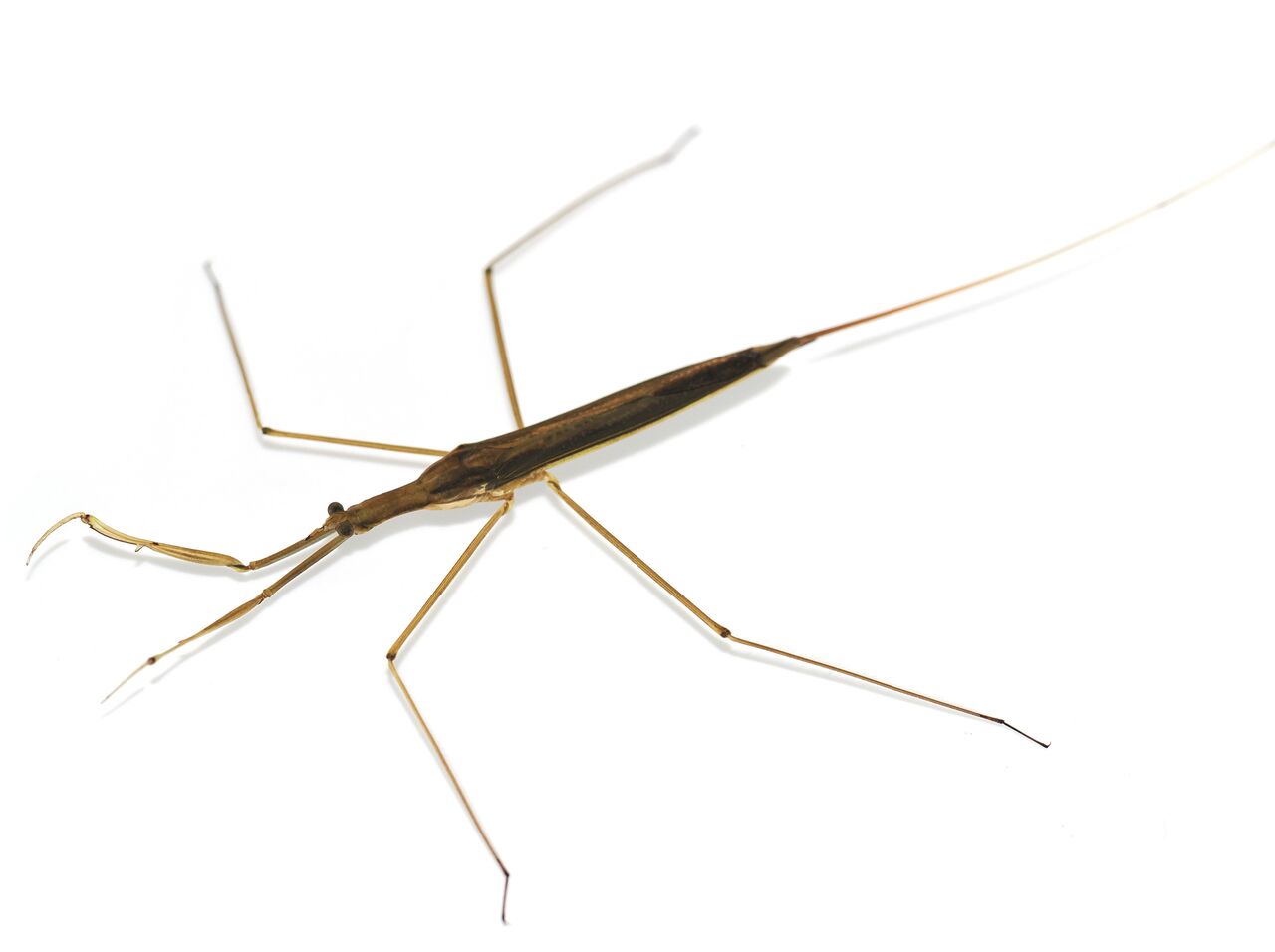 20250928�ߥ����ޥ����и���