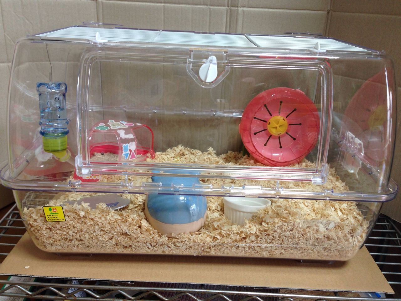 かっわいい ジャンガリアンハムスター 112匹目 生物速報