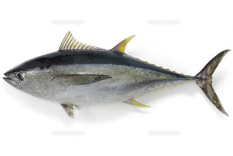 178af06c06bcda9986c391ff702a7c95