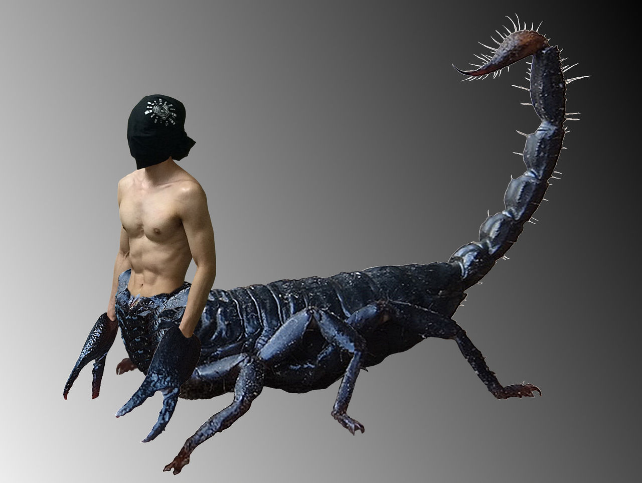 モンハンにサソリモンスターが出ない理由wwww 生物速報 モンハンにサソリモンスターが出ない理由wwww 生物速報