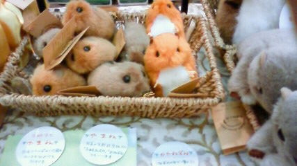 鳥たちのぬいぐるみ新入荷しています : ミュージアムショップブログ