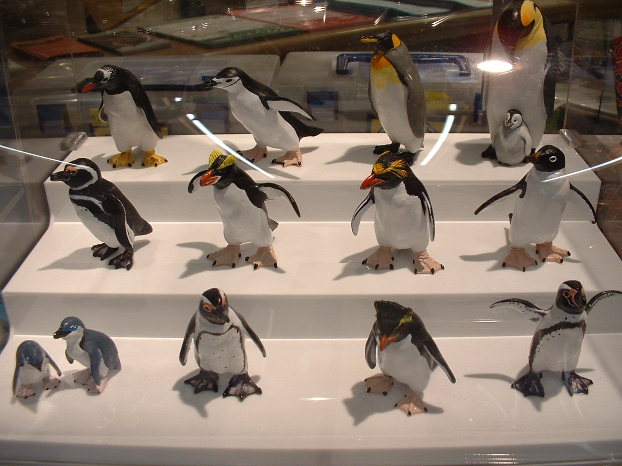 ペンギン フィギュアボックス ミュージアムショップブログ