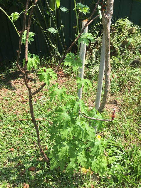 20190710-12