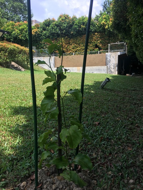 20190710-11