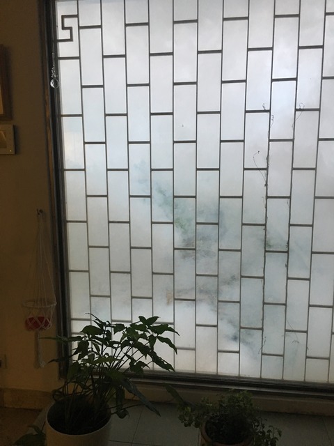 20190808-2