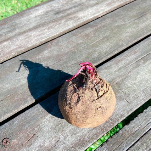 ECA0239F-CBFB-438A-86F6-93E992171D12