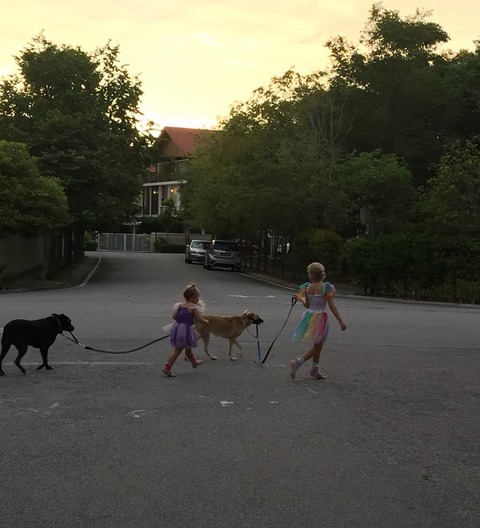 20180914-2
