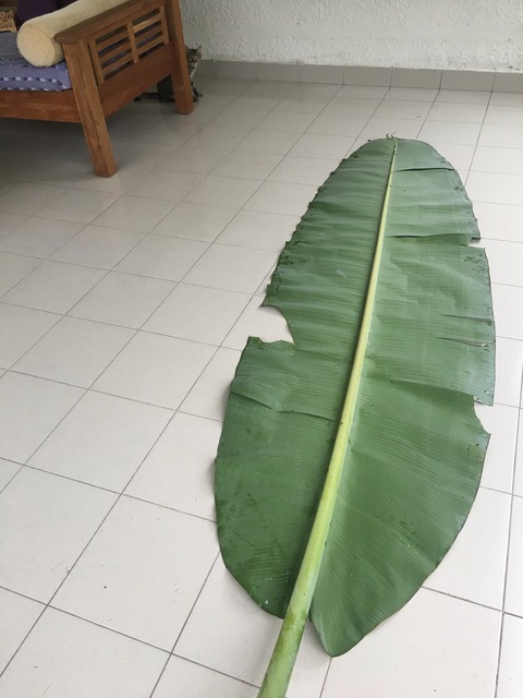 20190708-1