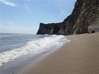 今週末もビーチへGo！ : 日本ナチュリスト・ヌーディストネットワーク（Naturist Nudist Network of Japan）