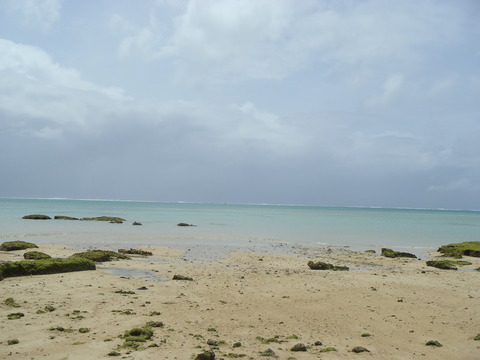 【報告】今夏最初のNBは沖縄！ : 日本ナチュリスト・ヌーディストネットワーク（Naturist Nudist Network of Japan）