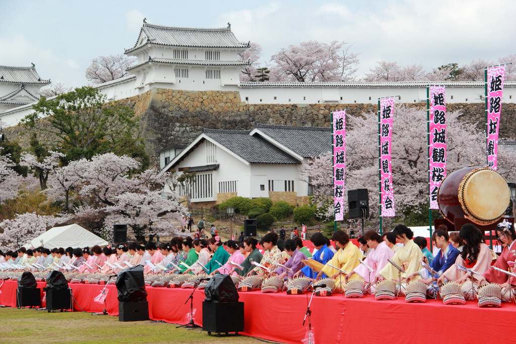 日々 遥か 第29回 姫路城観桜会 日々 遥か 第29回 姫路城観桜会