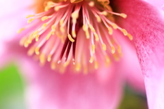 IMG_3654