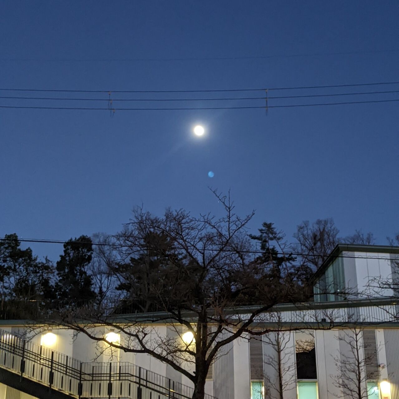 冬の月 きままに季語