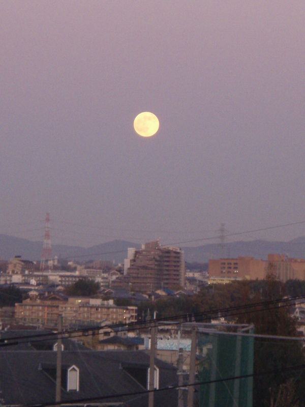 寒の月 : きままに季語