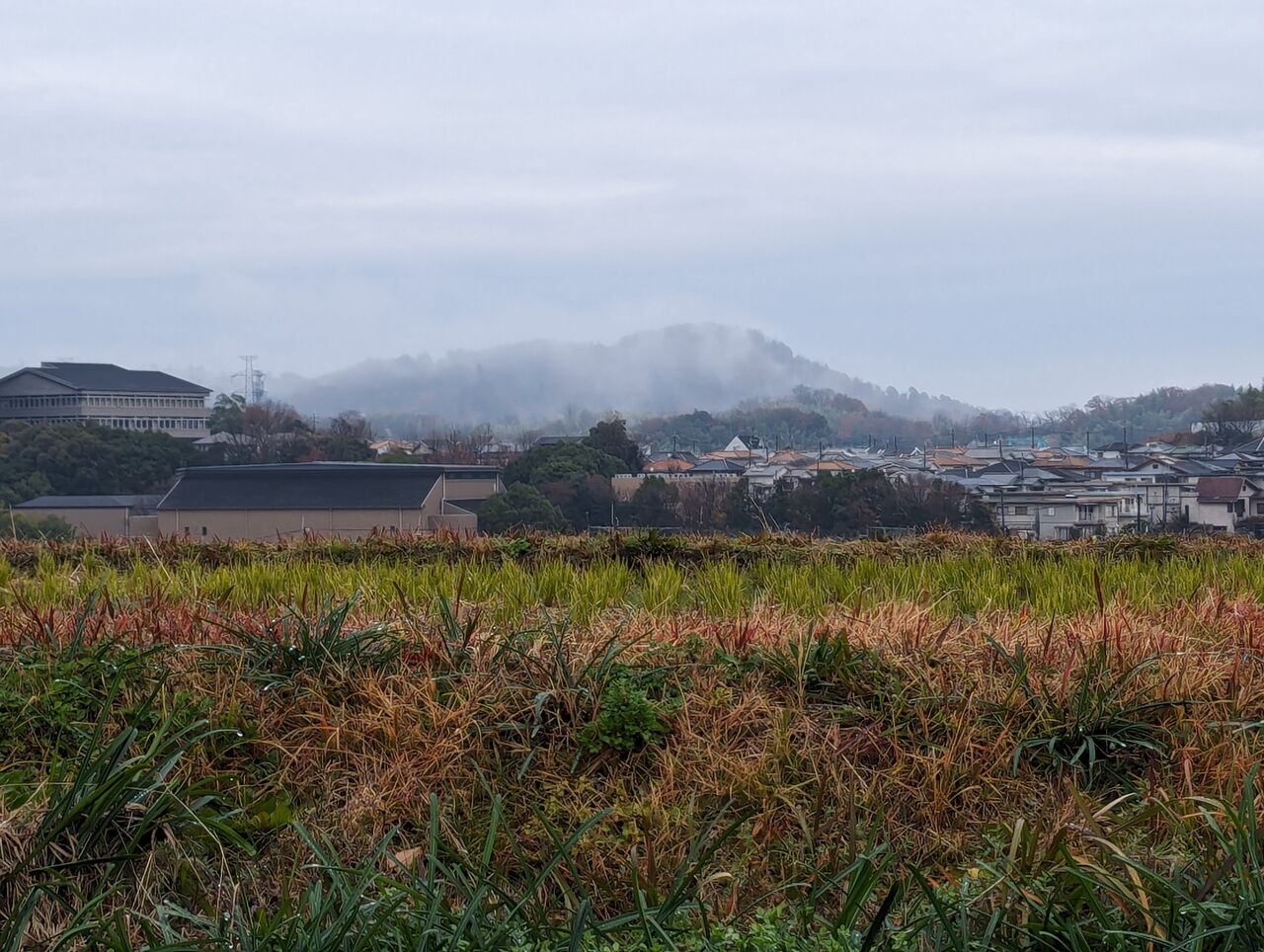冬の靄 きままに季語 