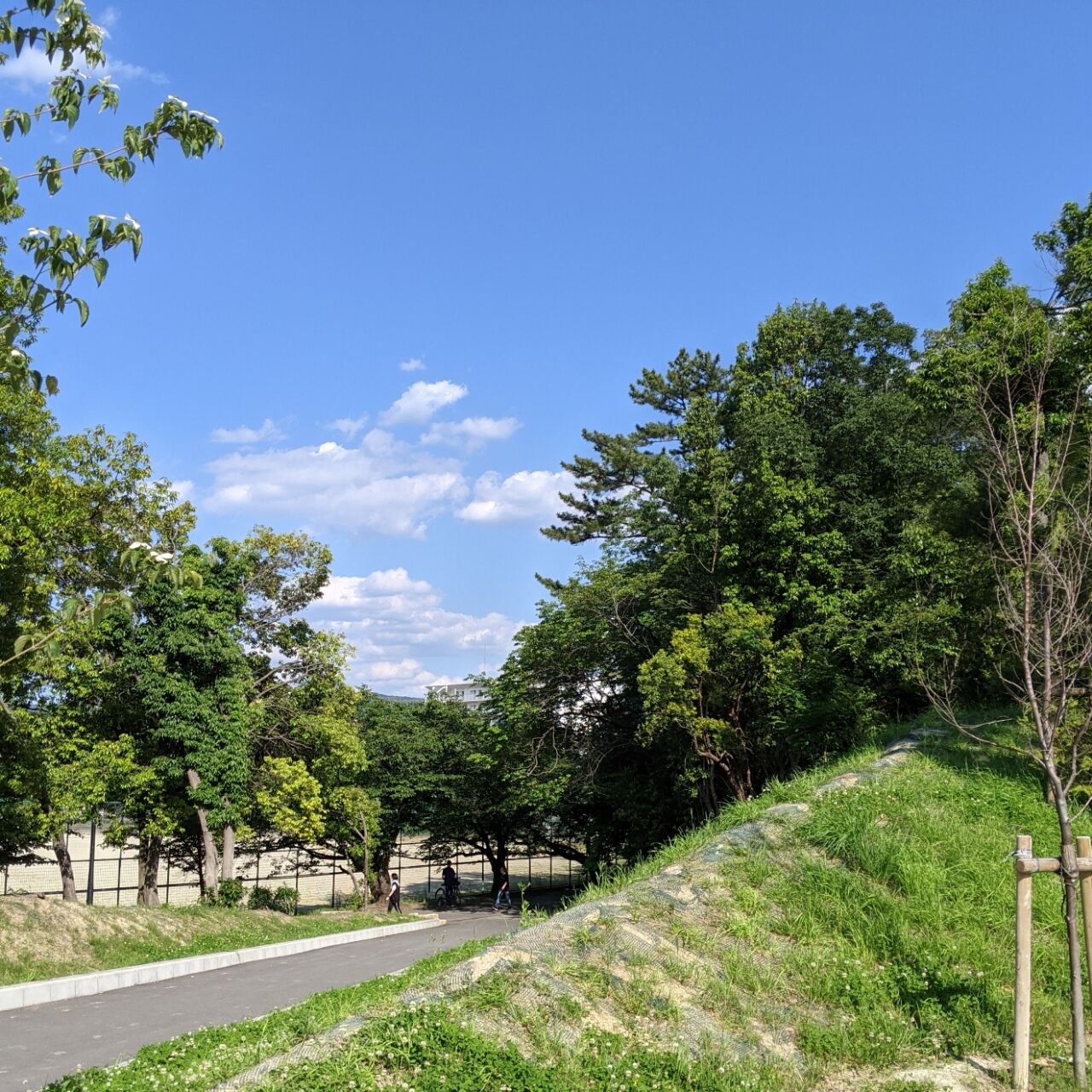 万緑 きままに季語