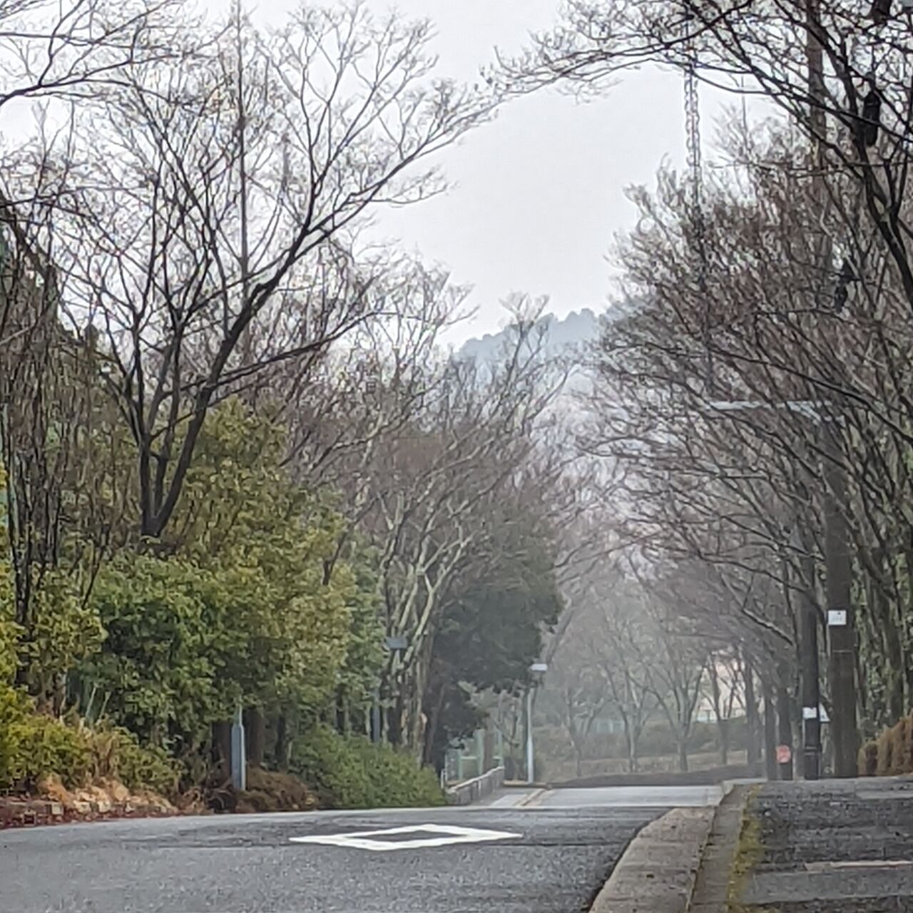 春塵